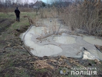 Прийшли копати бурштин на город: жінка на Рівненщині викликала поліцейських (ФОТО)
