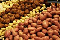 Пора робити заготівлю на зиму? В Україні різко впали ціни на картоплю 