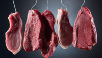 Як дізнатись, що м’ясо зіпсоване: головні ознаки для популярних видів