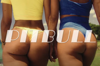 Pitbull зняв новий кліп з напівголими дівчатами
