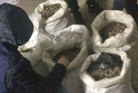 У Рівному арештували понад 130 кг бурштину 