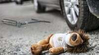 7-річна дівчинка потрапила під колеса Audi на Рівненщині