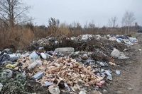 Величезні шматки сала - на горі відходів: як смітять у своїх селах мешканці Рівненщини (ФОТО) 