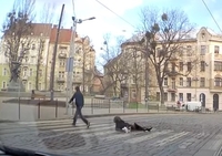 Неадекват у Львові вдарив жінку і збив її з ніг (ФОТО/ВІДЕО)