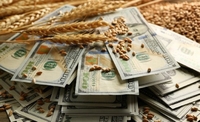 Скільки аграрії Рівненщини отримали грошей з держбюджету 