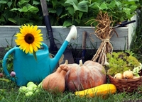 Що потрібно зробити на городі на початку осені