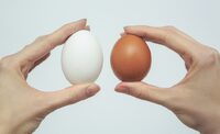 Великі яйця хороші – міф: Шеф-кухар розповів, чому не варто купувати великі яйця