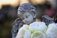 7 листопада: Хто сьогодні святкує День ангела (ФОТО)