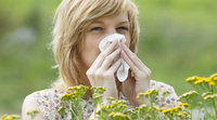 Весняна алергія на пилок: продукти, які треба виключити з раціону, аби не посилювати реакцію
