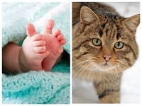 «Чи могло дитя померти через кота?»: рівнян вразила загибель 4-місячного немовляти