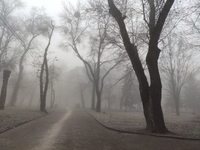 «Парк у Рівному, коли його огорнув туман, прекрасний», - рівнянин (ФОТОРЕПОРТАЖ)