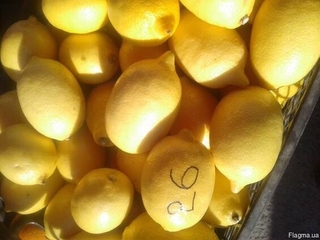 Лимони поштучно