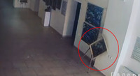 Вмикалося світло та падали картини: в університеті на Рівненщині «розгулялися» привиди? (ВІДЕО)