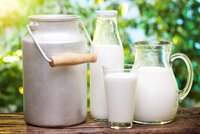 Як зберегти молоко без холодильника: способи, які подовжать термін придатності напою