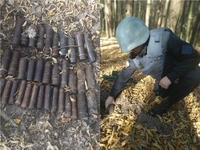 Піротехніки розміновують 2,5 га лісу на Рівненщині. Уже знищили 115 боєприпасів (ФОТО)