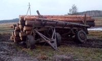  «Нічийний» причіп з краденими дровами знайшли на Рівненщині (ФОТО)