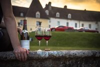 Як зберігати відкорковане вино: сотні тисяч людей роблять це неправильно