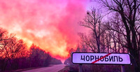 Підвищена небезпека: у Чорнобильській зоні горить 10 тис. га лісу - Денісова