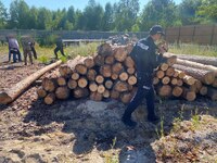 Незаконну деревину вилучили на Сарненщині