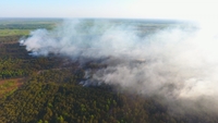 Квадрокоптер зафільмував, як горів ліс на Рівненщині (ВІДЕО)