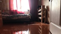 Вода полилася з розеток: на старті опалювального сезону у Рівному затопило квартири (ФОТО)