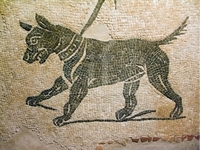 «Я плачу...», - як шанували померлих собак у древньому Римі та Греції (11 ФОТО)