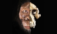 Вчені дізналися, як виглядала людина 2 мільйони років тому (ВІДЕО)