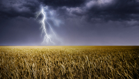 Негода не мине: Мешканців Рівненщини попередили про сильний вітер та грози
