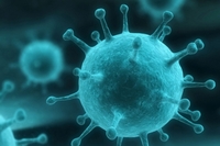 На Рівненщині медики зафіксували дванадцяту смерть від грипу