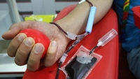 Важкохворому лікарю з Рівненщини потрібна донорська кров (ФОТО)