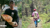 Біля Рівного знайшли білого гриба-рекордсмена і пакет грибів «Поминальних» (ФОТО)