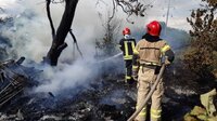 Жителів Рівненщини попередили про найвищий клас пожежної небезпеки