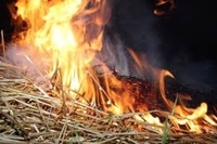 Тюки соломи, що горять під Рівним, закривають тракторами, аби вогонь не перекинувся на поле (ВІДЕО)