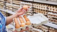 Курячі яйця в Україні будуть продавати по-новому: що зміниться