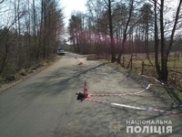 Влетів у дерево на «Мінську»: смертельна аварія на Рівненщині (ФОТО)