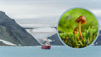Унікальне видовище: Полярники показали рідкісні антарктичні гриби (ФОТО)