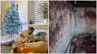 Вогонь знищив будинок: біда у лікарки з Рівненщини (ФОТО)