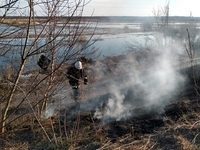 Мешканці Рівненщини почали спалювати траву. Їм загрожують великі штрафи (ФОТО) 