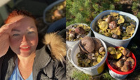 У лісі сухо, але... 50 л грибів назбирала мешканка Рівненщини (ФОТО)