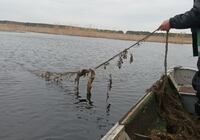 Рибалок-браконьєрів оштрафували на Рівненщині (ФОТО)