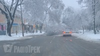 На Рівненщині вирувала негода: сніг повалив дерева (ФОТО/ВІДЕО)