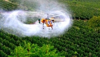 Рівне проситиме Київ заборонити застосовувати біля себе пестициди