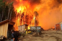 Жахливі кадри наслідків пожеж у Луганській області: люди сплять просто неба (ВІДЕО)

