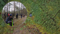 Пішов до лісу та не повернувся: на півночі Рівненщини пів сотні людей шукають зниклого чоловіка 