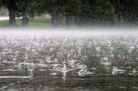 Що передвіщає дощ на 17 травня: народні прикмети