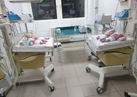 «Три синочки та красуня дочка»: на Закарпатті 20-річна народила четверню (ФОТО/ВІДЕО)
