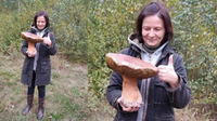 Гриб-рекордсмен: на Рівненщині жінка знайшла справжній трофей вагою майже 2 кг