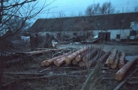 Колоди, заховані у закинутій фермі, знайшли на Рівненщині (ФОТО)