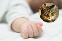Кіт убив чотиримісячне дитя в Острозі. Сьогодні, на 8 березня (ФОТО)