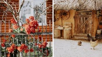 За 100 тис. грн і звання «Найгарніше українське село» борються відразу 13 сіл Рівненщини
